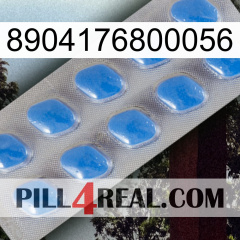 8904176800056 22